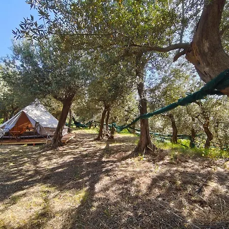 Agriturismo L'Olivara-3